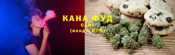 хмурый Абаза