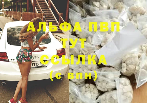 хмурый Абаза