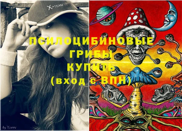 хмурый Абаза
