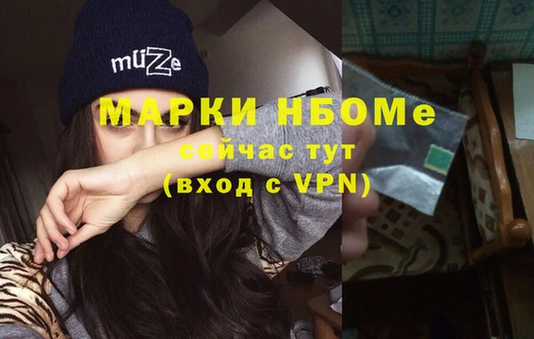 хмурый Абаза