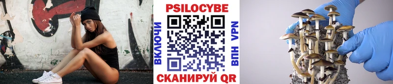 Псилоцибиновые грибы Magic Shrooms  Костерёво 